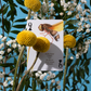 Eastern Forest Playing Cards