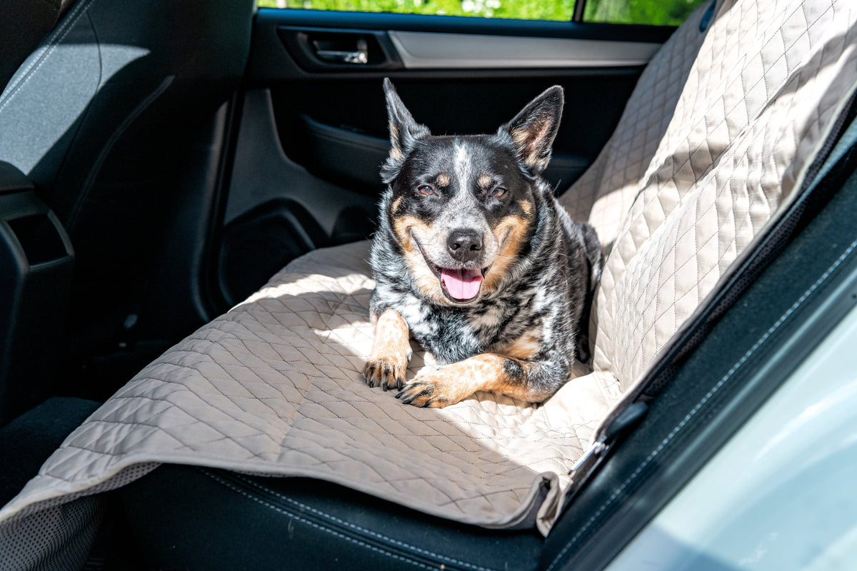 TuffutLuxx® Vehicle Protectors for Travel
