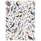 Birds of Western North America 1000 Piece Jigsaw Puzzle NYPC