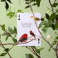 Eastern Forest Playing Cards