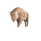 Bison Coin Bank — Wooden Building Kit, 109 Pieces