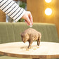 Bison Coin Bank — Wooden Building Kit, 109 Pieces