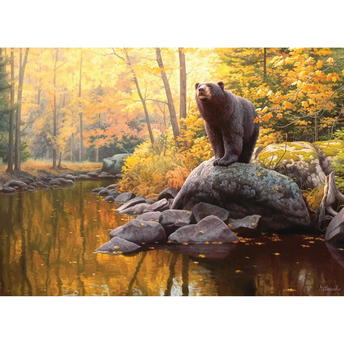 Black Bear Pond 1000 Piece Jigsaw Puzzle Cobble Hill