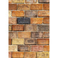 Bricks 1000 Piece Jigsaw Puzzle Piatnik
