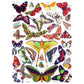 Butterflies ~ Papillons 1000 Piece Jigsaw Puzzle NYPC