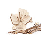 Butterfly 3D Wood Model Kit UGEARS