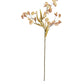 Botanica #3430