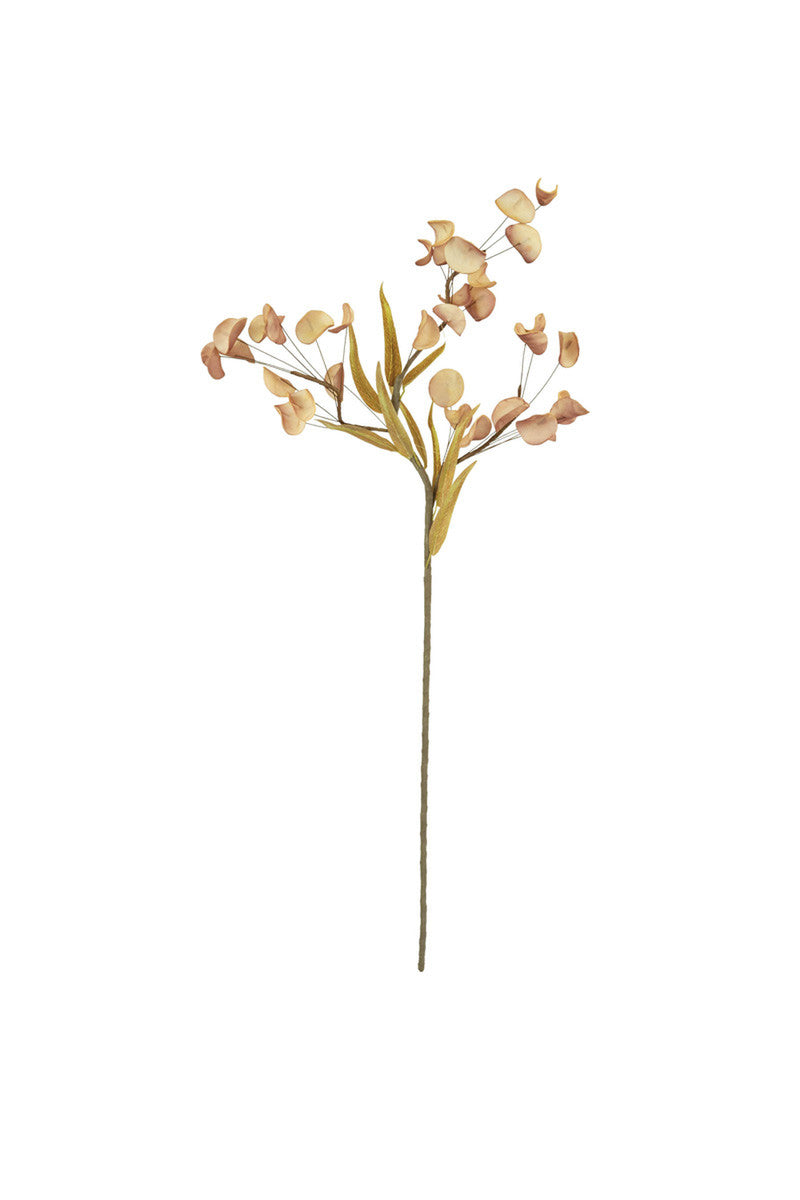 Botanica #3430