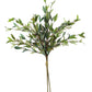 Botanica #2397