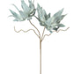 Botanica #2547