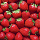 Super Strawberries 100 Piece Cra-Z Difficult Jigsaw Puzzle