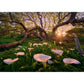 Calla Clearing Magic Forests 1000 Piece Jigsaw Puzzle Heye