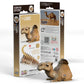 Camel 3D Cardboard Model Kit Eugy