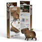 Capybara 3D Cardboard Model Kit Eugy