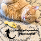 HuggleKats® Water Critters Bucket of Cat Toys, 12 Pack