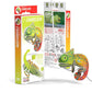 Chameleon 3D Cardboard Model Kit Eugy