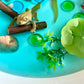 Pond Life Cycle Sensory Kit And Water Play