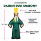 Taxman Squeaky Chew Toy