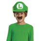 Super Mario Bros Luigi  Hat And Mustache Child Costume Kit