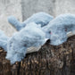 Mobie Whale Wee Huggles® Plush Dog Toys, 3 Pack
