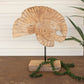 Teak Nautilus Shell On A Stand