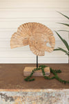 Teak Nautilus Shell On A Stand