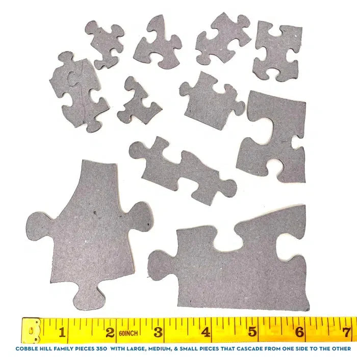 Desert Magic 350 Piece Family Jigsaw Puzzle Cobble Hill