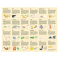 Did You Fart? 100 Piece Jigsaw Puzzle Laurence King