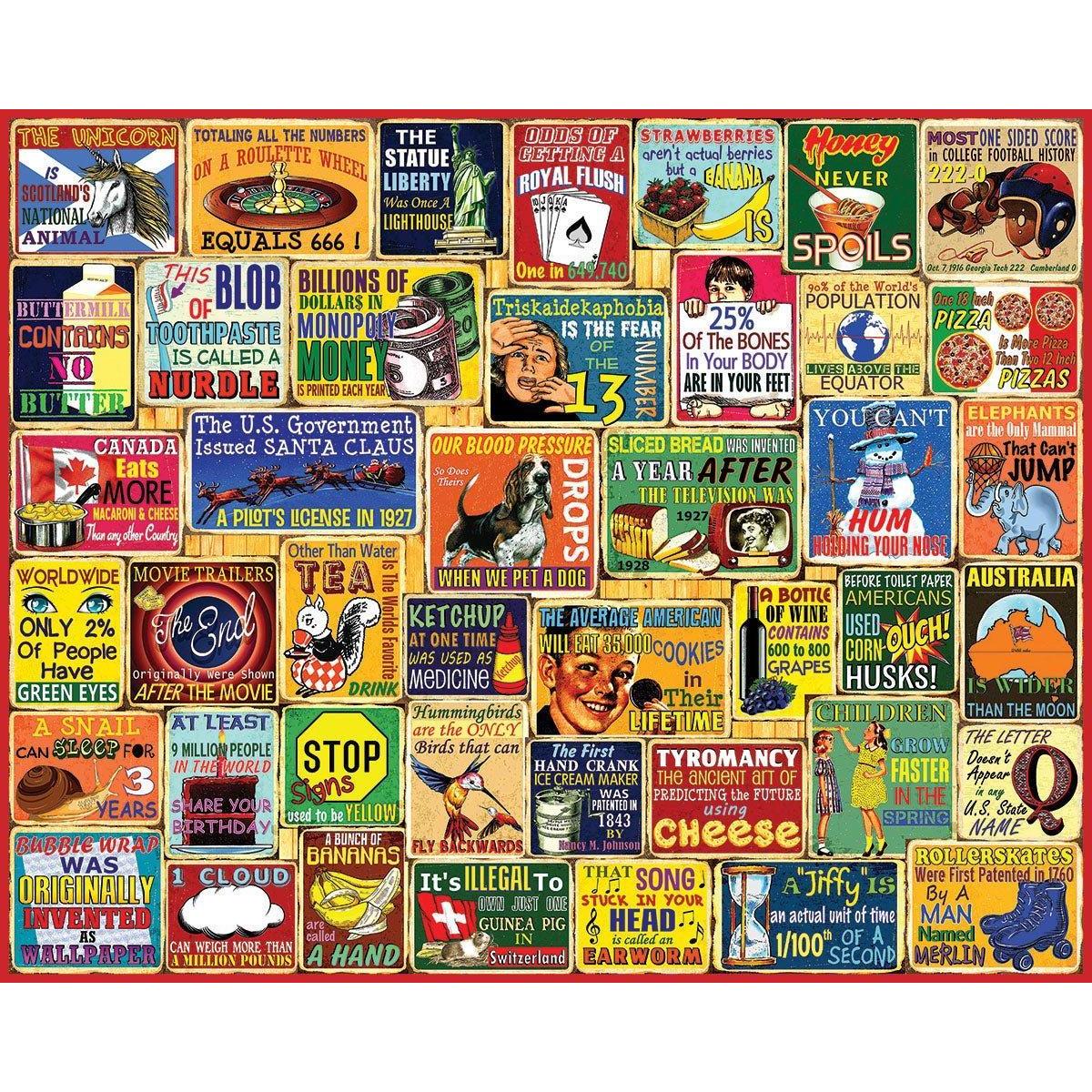 Did You Know 1000 Piece Jigsaw Puzzle White Mountain