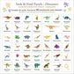 Dinosaurs 100 Piece Seek & Find Jigsaw Puzzle Peter Pauper