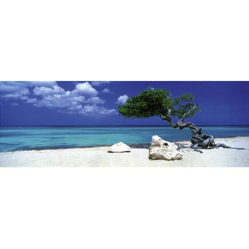 Divi Divi Tree 1000 Piece Panoramic Jigsaw Puzzle Heye