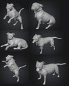 Dogs - Nora - 28mm (SLA001)