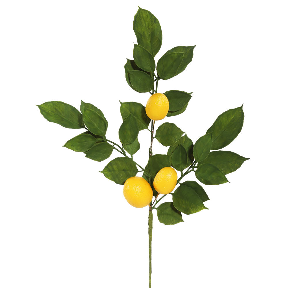 Vickerman 20'' Green Salal Leaf Lemon Spray 4/Pk - Fk170701-4