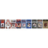Nhl Florida Panthers 9 Different Licensed Trading Card Team Sets