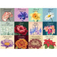 Floral Calendar 1000 Piece Jigsaw Puzzle Snappy