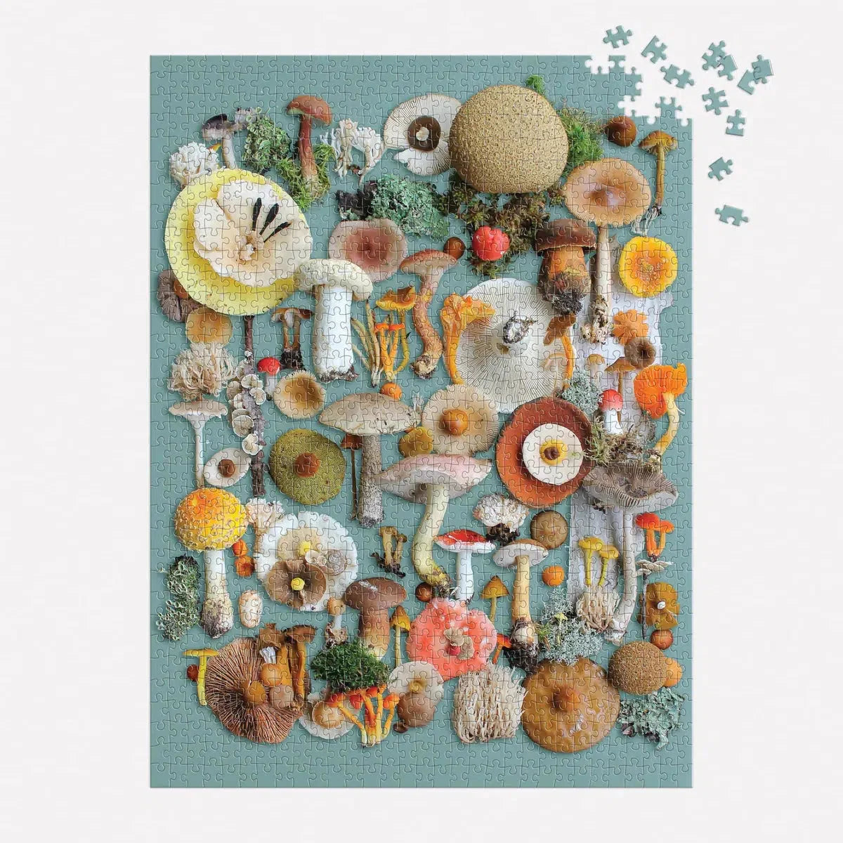 Foraged 1000 Piece Jigsaw Puzzle Galison