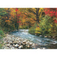 Forest Stream 1000 Piece Jigsaw Puzzle Eurographics