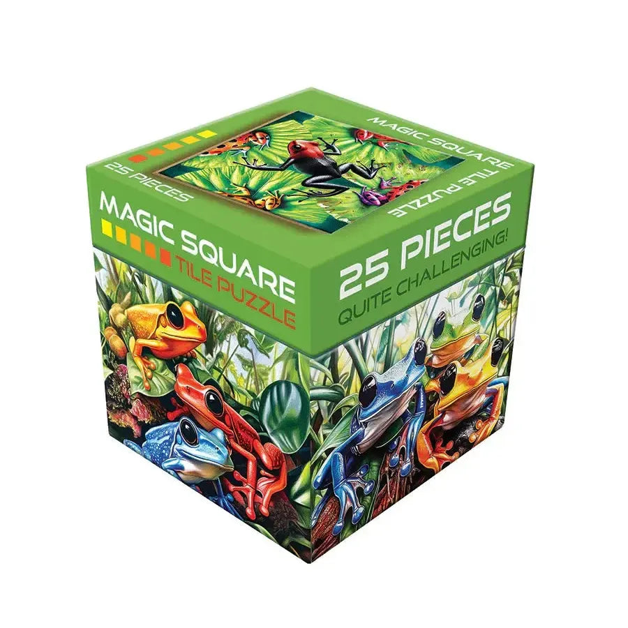 Frog 25 Piece Magic Square Tile Puzzle Sudoku Style Game Outset