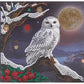 Frosted Moon Crystal Art Card Kit Craft Buddy