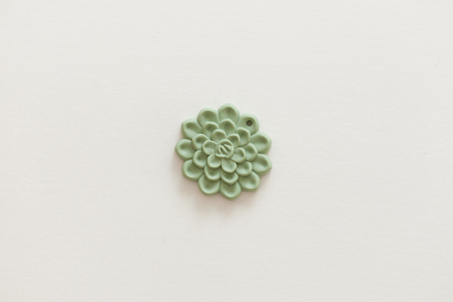 Succulent Teethers