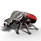 Goliath Beetle 3D Cardboard Model Kit Eugy