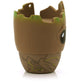 Groot