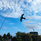 Outdoor Toys 47 Inch Bird Scaring Eagle Kite Without Rod Good Flying For Garden/Orchard/ Farm