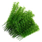 50Pcs 10cm/12cm/15cm Plastic Miniature Model Tree Landscape Bamboo Tree Sand Table Model Decor Accessories Toys Hobbies 2019 New