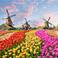 500 Pieces Jigsaw Puzzle Various Landscape Patterns Jigsaw Puzzle Educational Toy for Kids Children's Games Christmas Gift