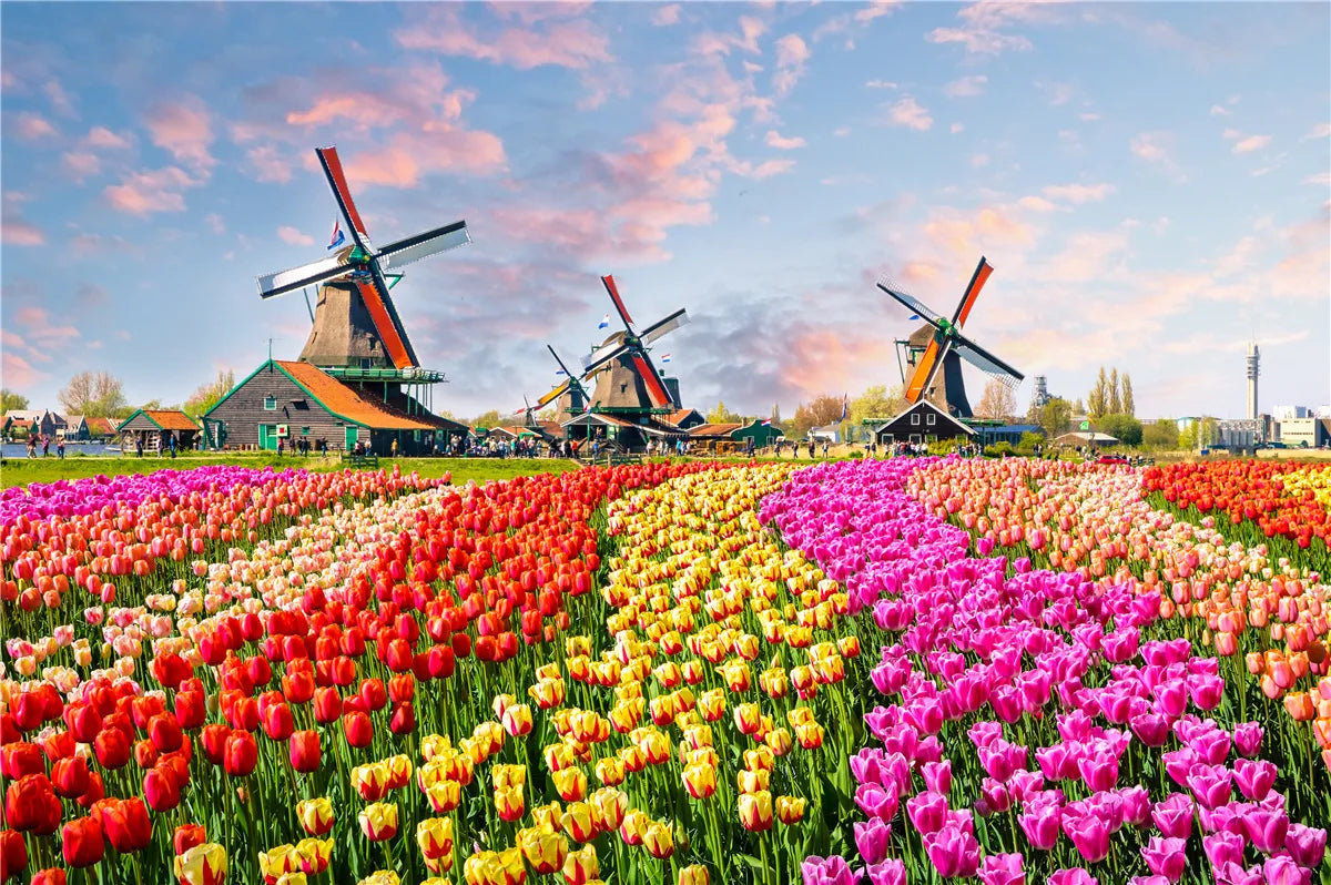 500 Pieces Jigsaw Puzzle Various Landscape Patterns Jigsaw Puzzle Educational Toy for Kids Children's Games Christmas Gift