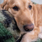 HuggleCause™, Warrior Canine Connection, Camouflage HuggleFleece® Plush Ball Dog Toy