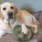 HuggleCause™, Warrior Canine Connection, Camouflage HuggleFleece® Plush Ball Dog Toy