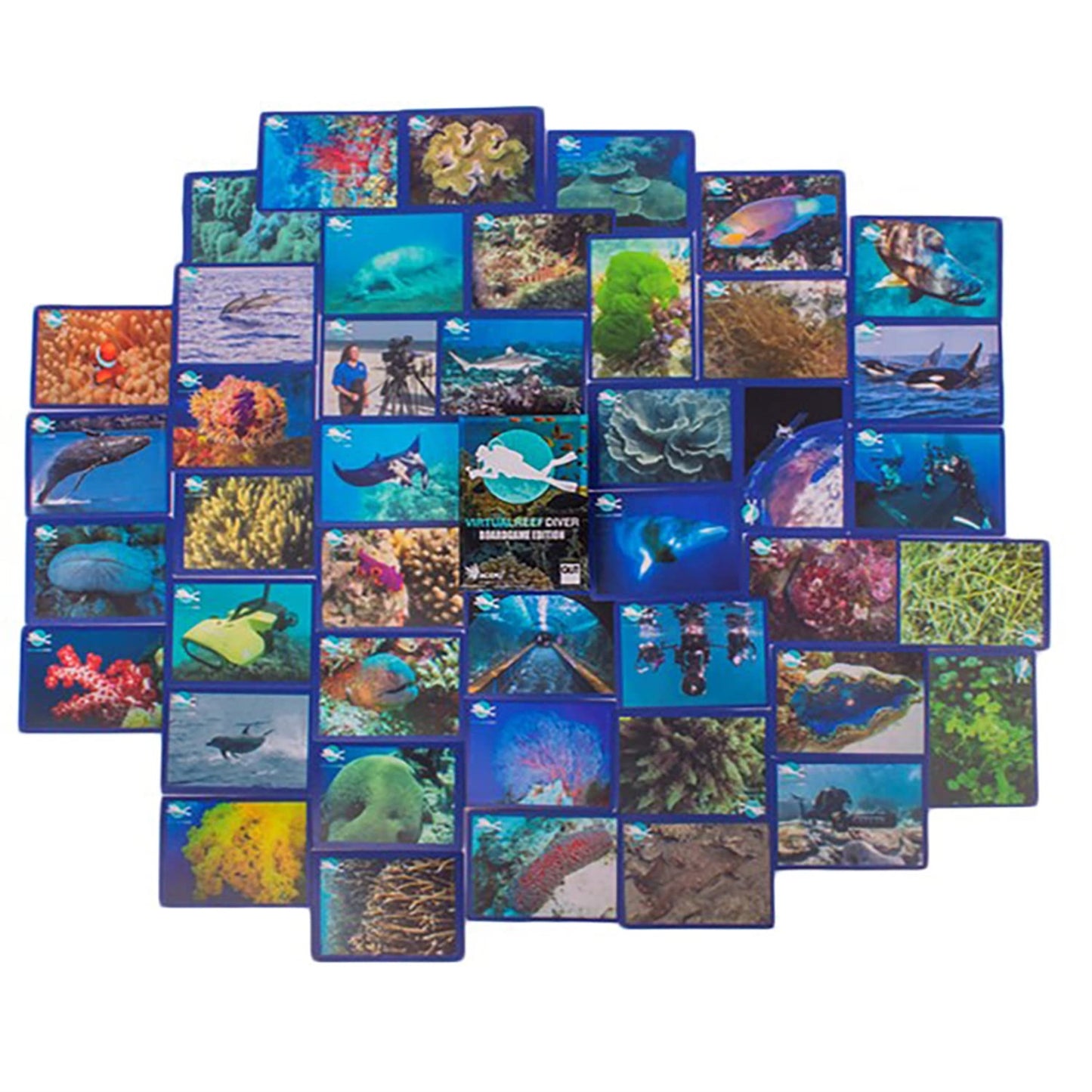 Half-Monster Games Virtual Reef Diver: Tabletop Edition. Educational Memory Card Game - Age 6+, 2-8 Players, 30 Min Game Play. H