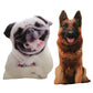 50cm Cute Simulation Dog Plush Toy 3D Printing Stuffed Animal Dog Plush Pillow Stuffed Cartoon Cushion Kids Doll Home Decro Gift